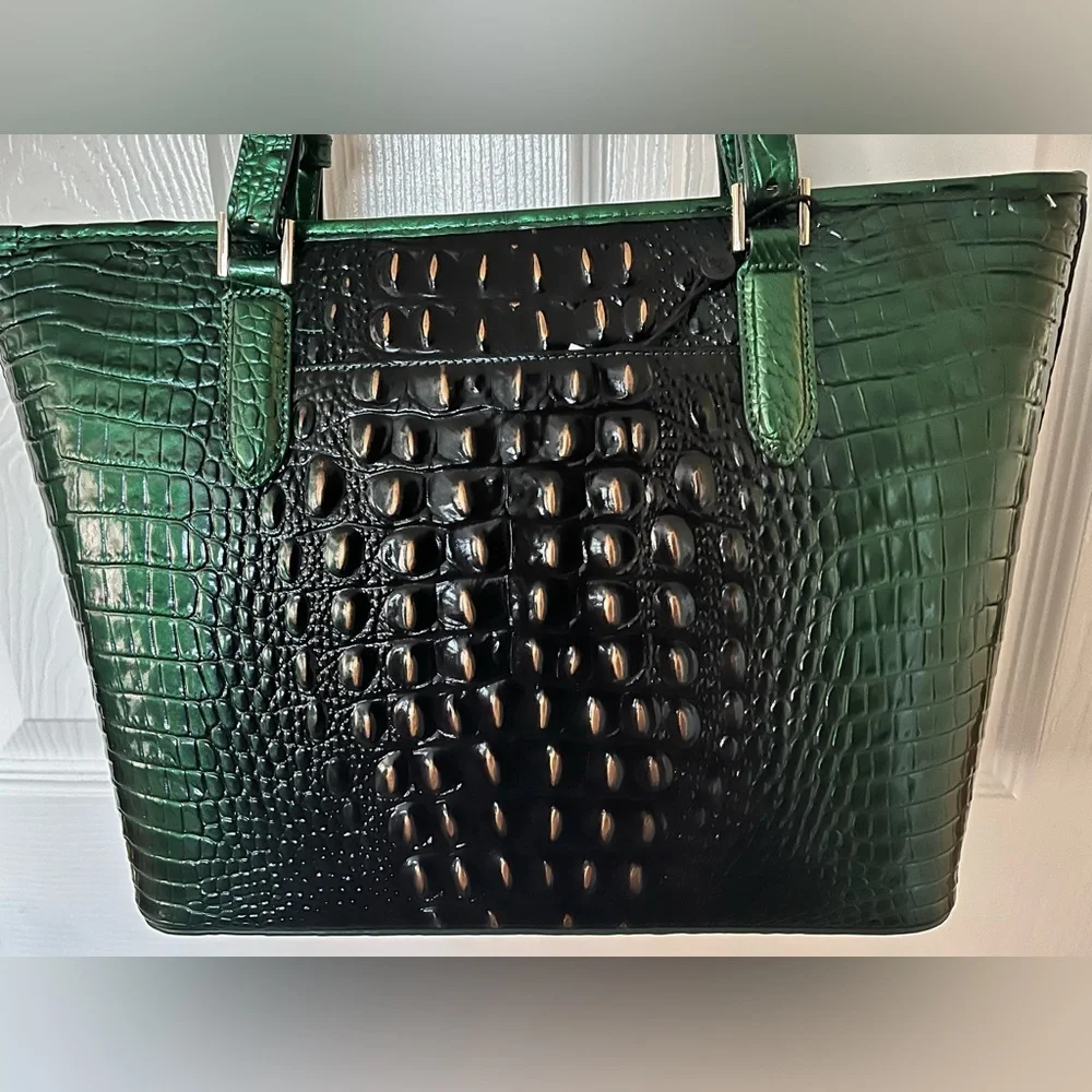 NWT Brahmin EVERGREEN Medium Asher Ombre Melbourne Tote